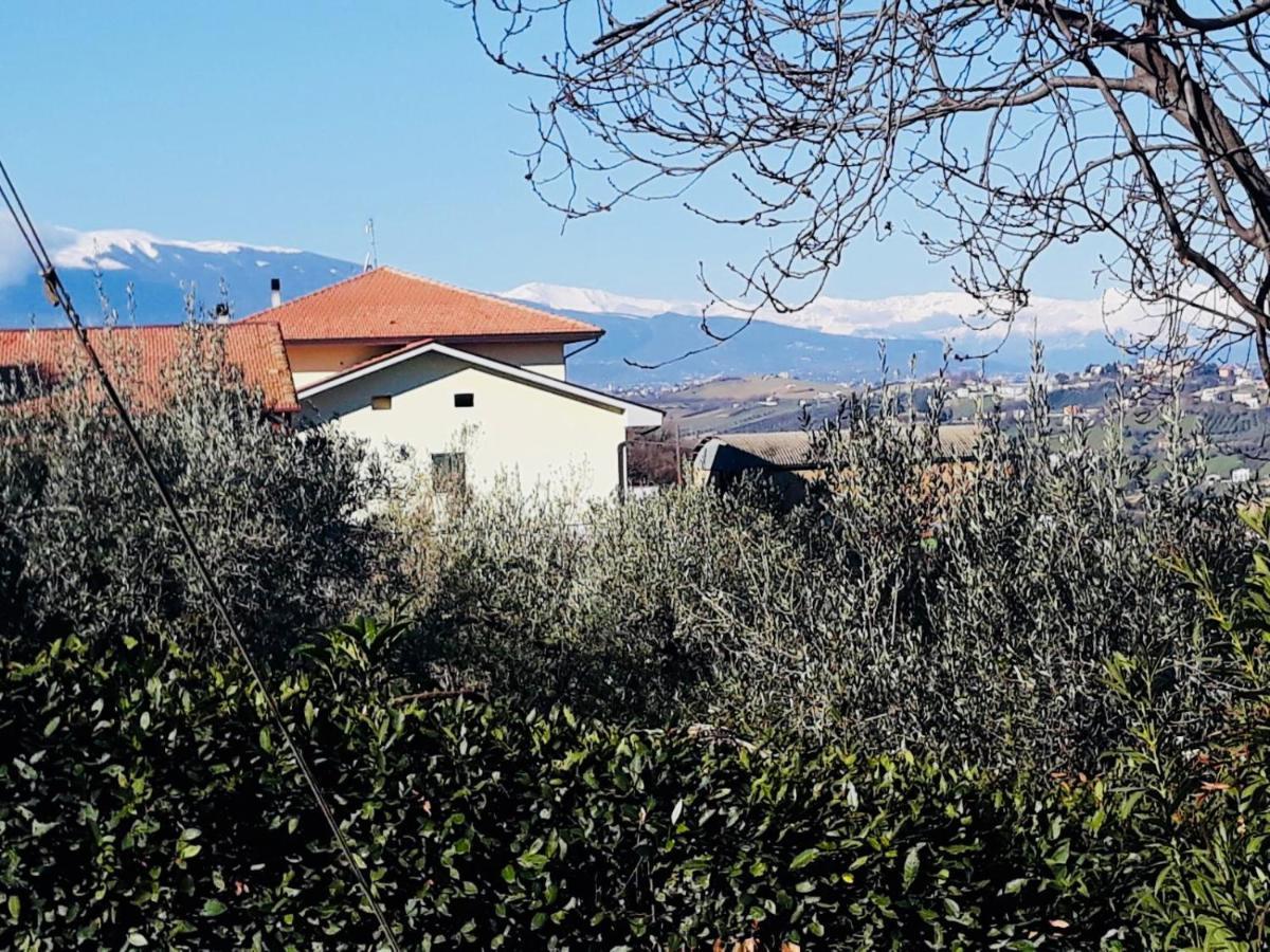 Ellebi B&B Montone  Exteriör bild